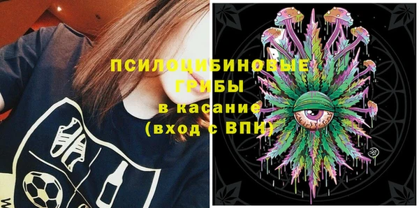 дживик Алексин