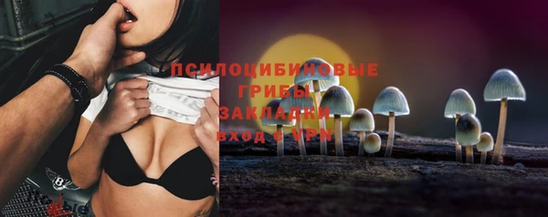 СК Абинск