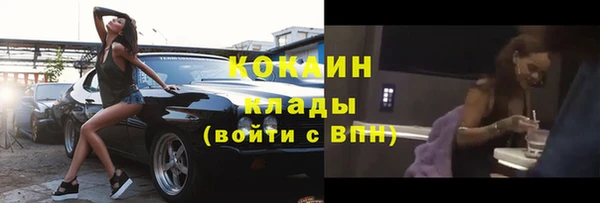дживик Алексин